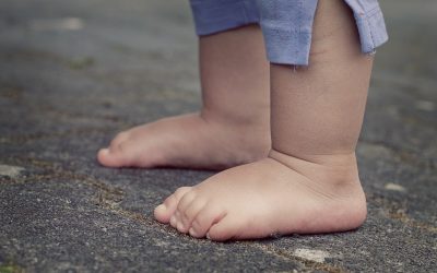 Der Fuß und die Achillessehne